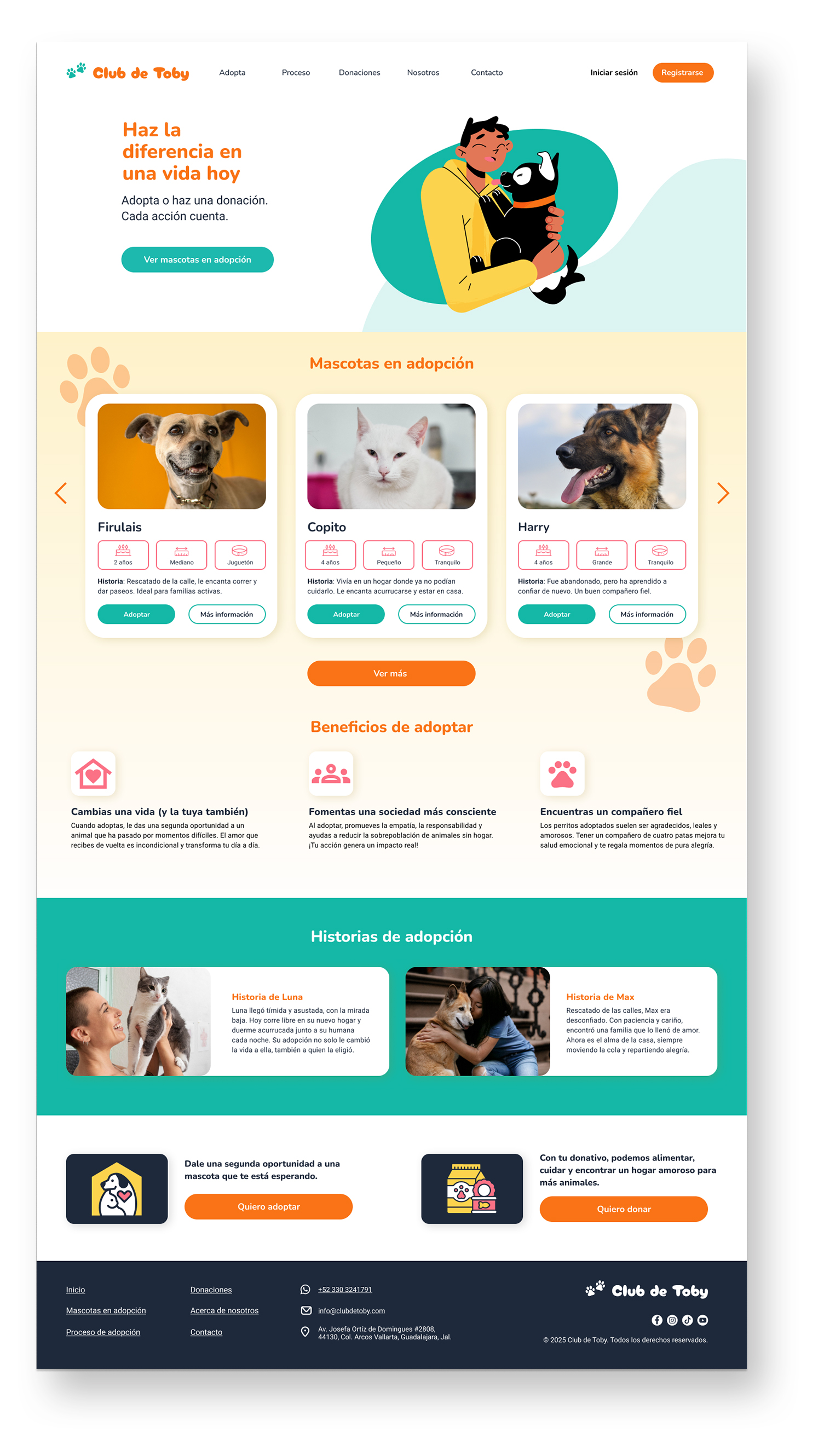 CDT-homepage